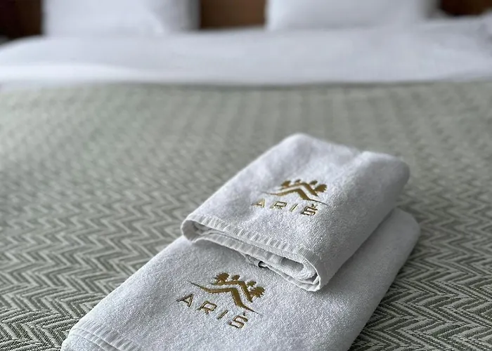 Διαμέρισμα Snowflake A10 Κοπαόνικ